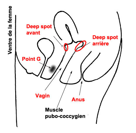 deep-spot-1.gif