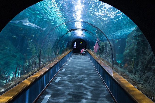 aquarium rendez vous date